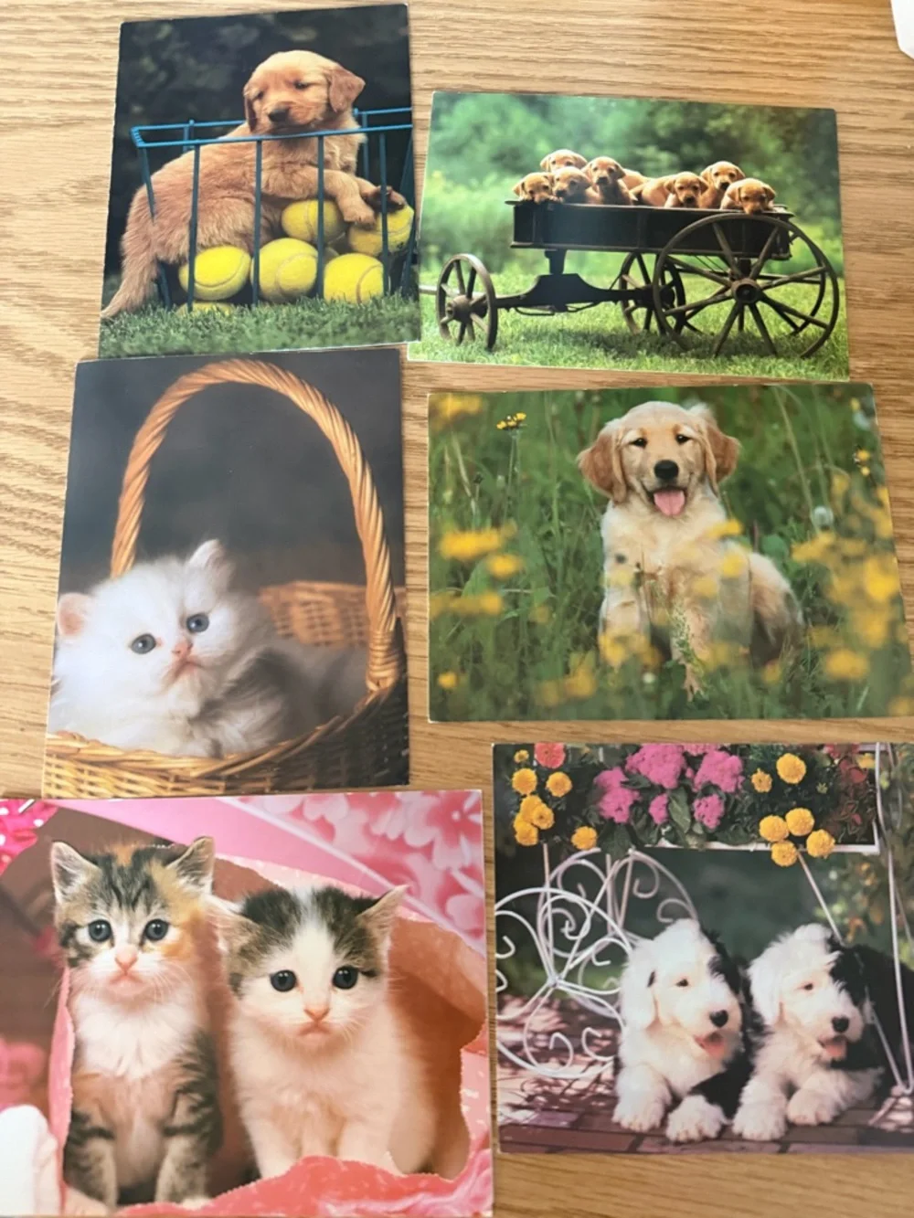 Vintage PVA Animal Greeting Cards Set of 6 Puppies & Kittens With Envelopes